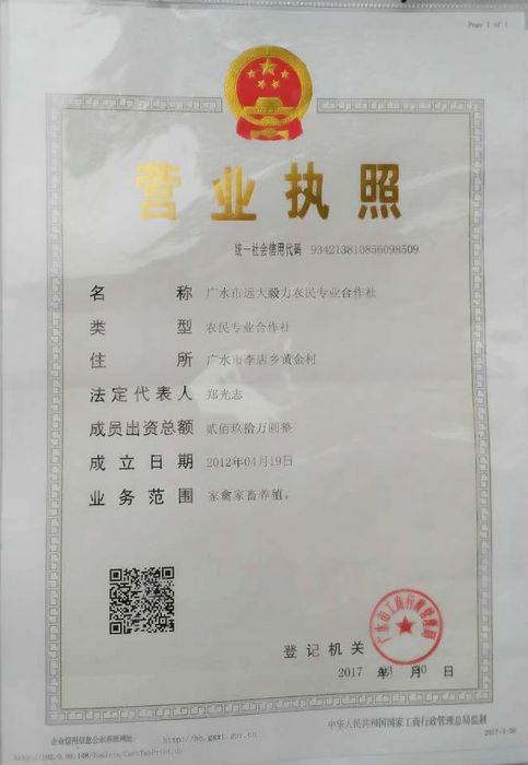 从一头母猪发展有规模的合作社