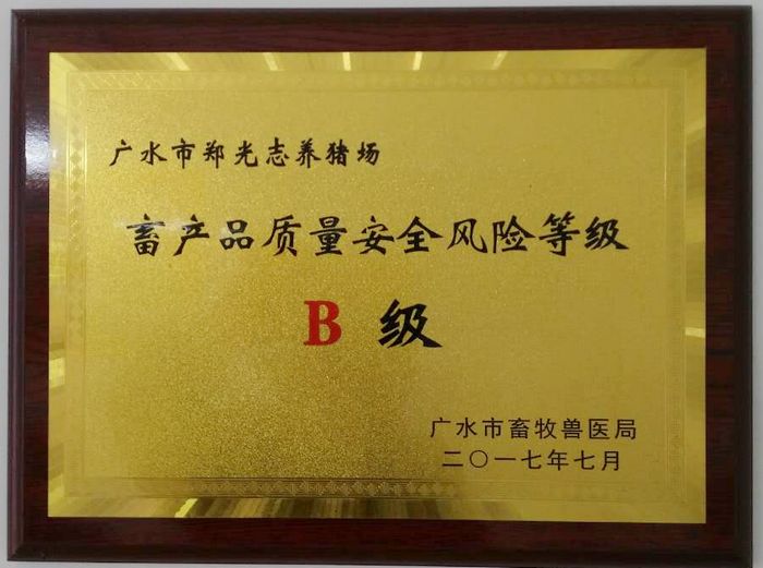 从一头母猪发展有规模的合作社