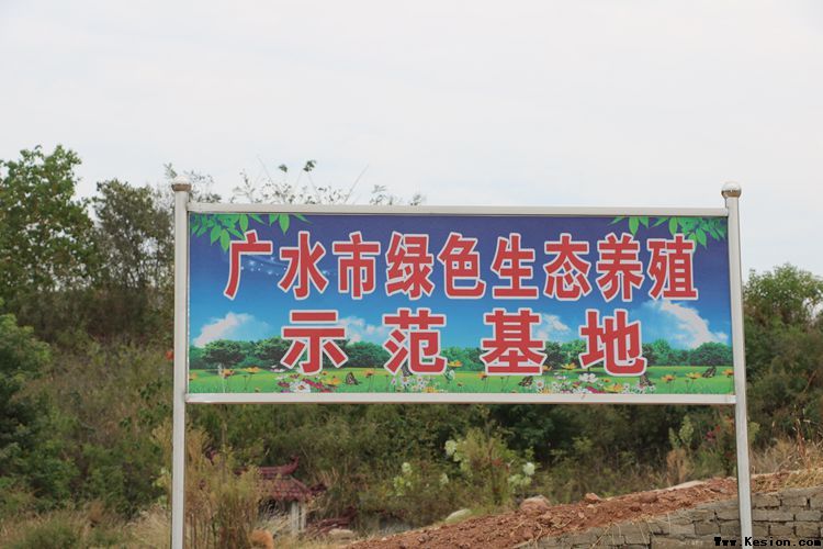采访绿色生态养殖示范基地