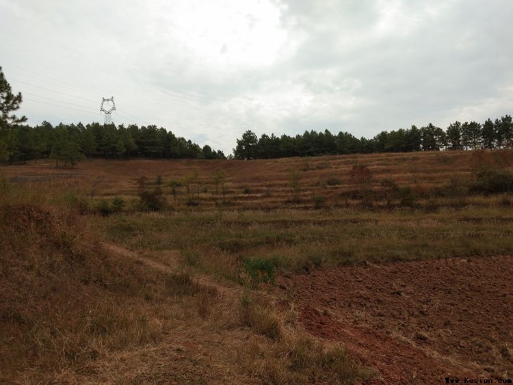 采访绿色生态养殖示范基地