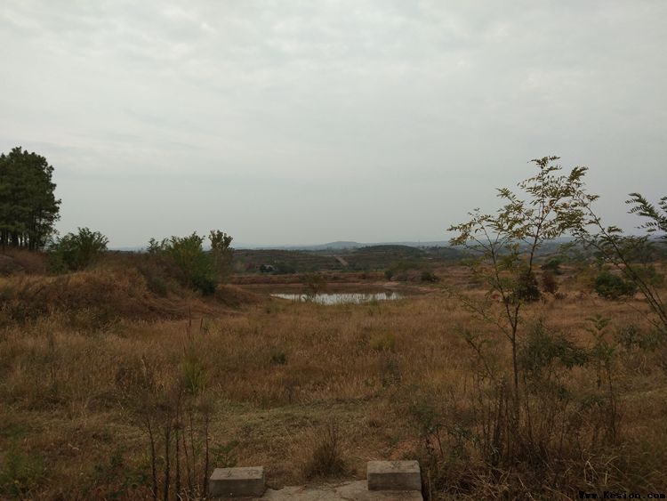 采访绿色生态养殖示范基地