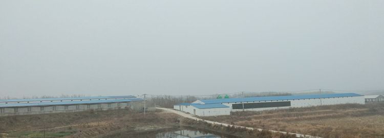 荒山岗上的养鸡场