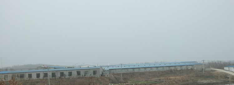 荒山岗上的养鸡场