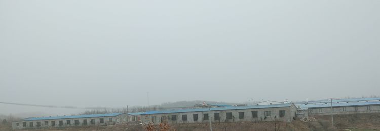 荒山岗上的养鸡场