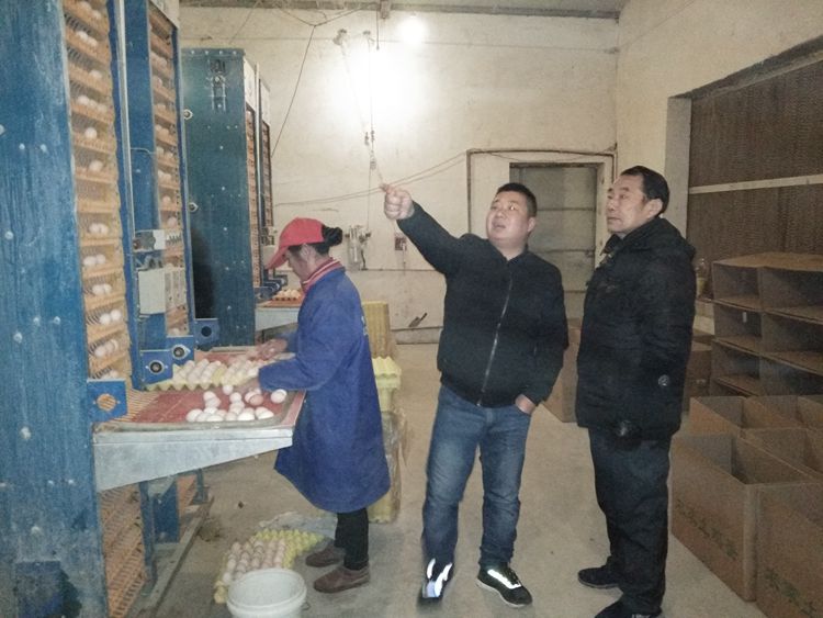 荒山岗上的养鸡场