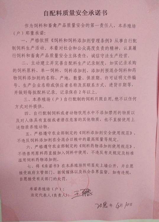 荒山岗上的养鸡场