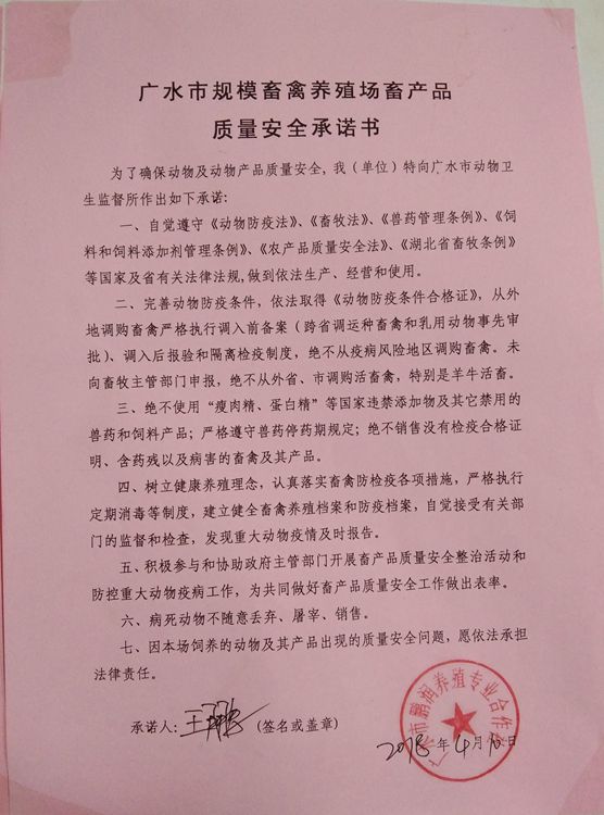 荒山岗上的养鸡场