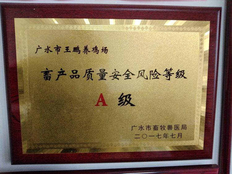 荒山岗上的养鸡场
