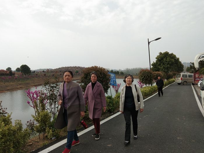 观音村神怡生态园踏青尝花