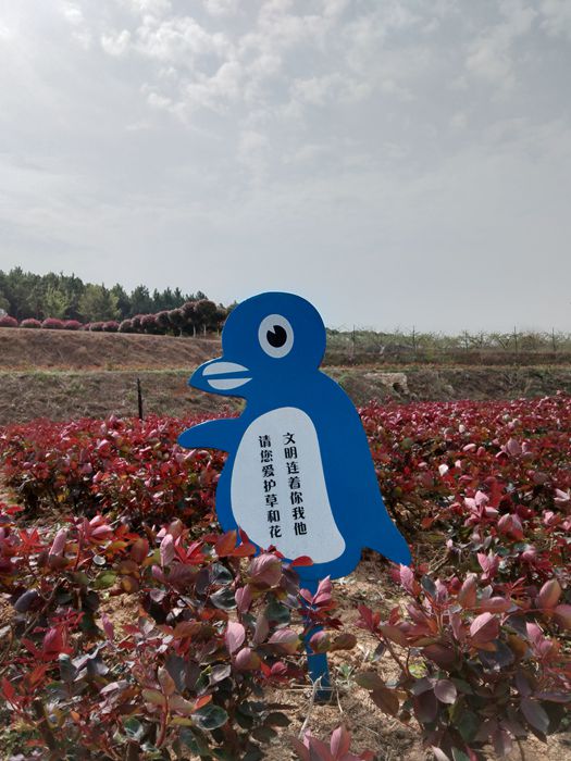 观音村神怡生态园踏青尝花