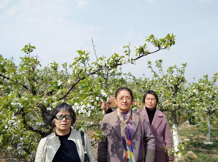 观音村神怡生态园踏青尝花