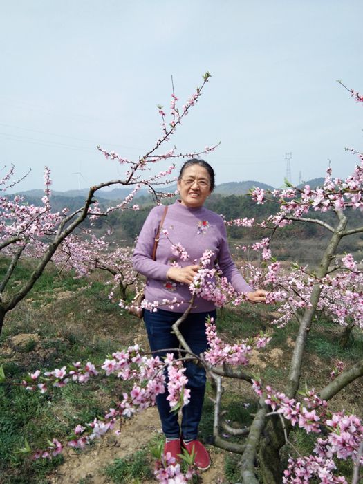 郝店镇铁城村生态果园踏青尝花