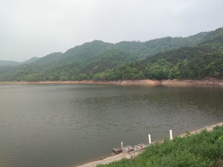 桃源村踏青赏花——王章国