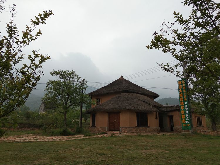 桃源村踏青赏花——王章国