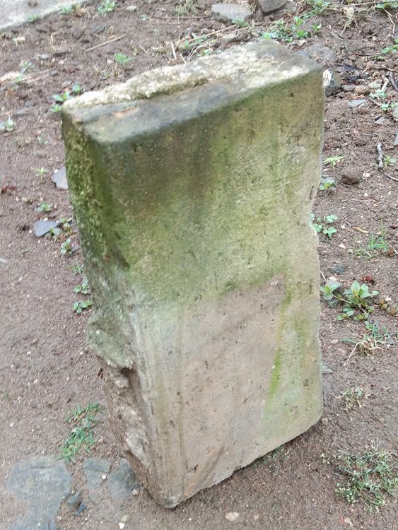 殷家老湾观赏古屋址——王章国