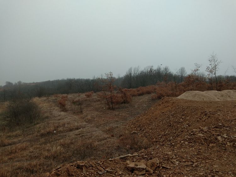 绿草地食品有限公司正在平地筹建