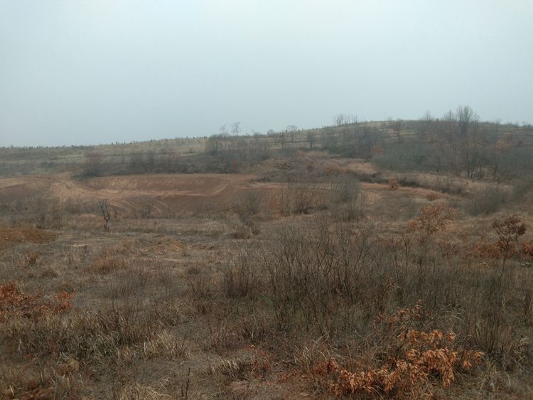 绿草地食品有限公司正在平地筹建