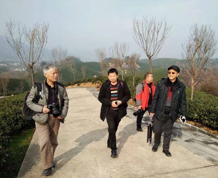 文新茶场摄影一一王章国