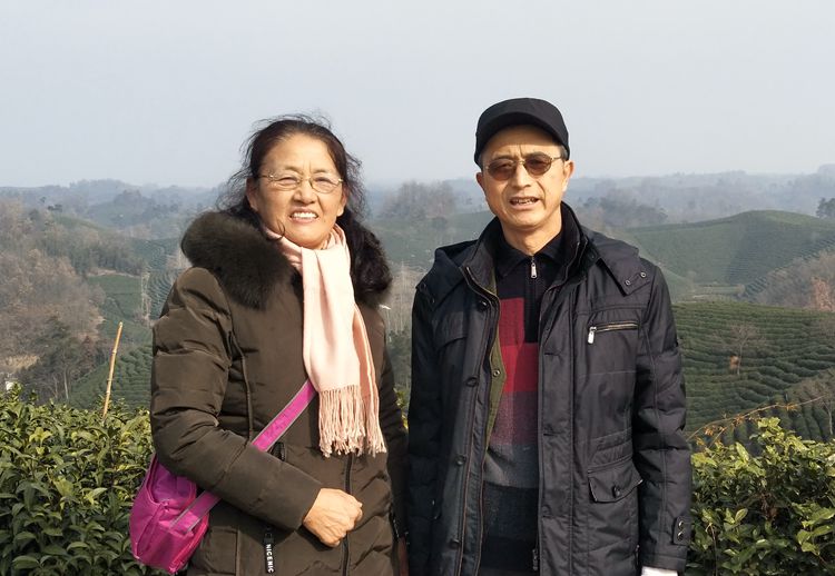 文新茶场摄影一一王章国