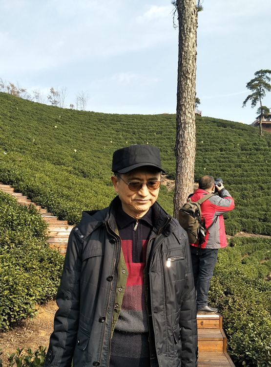 文新茶场摄影一一王章国