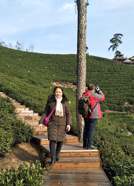 文新茶场摄影一一王章国