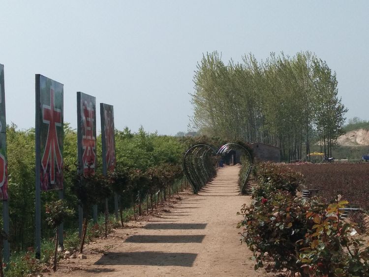 ​游玩梅庙村