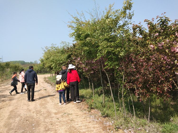 ​游玩梅庙村
