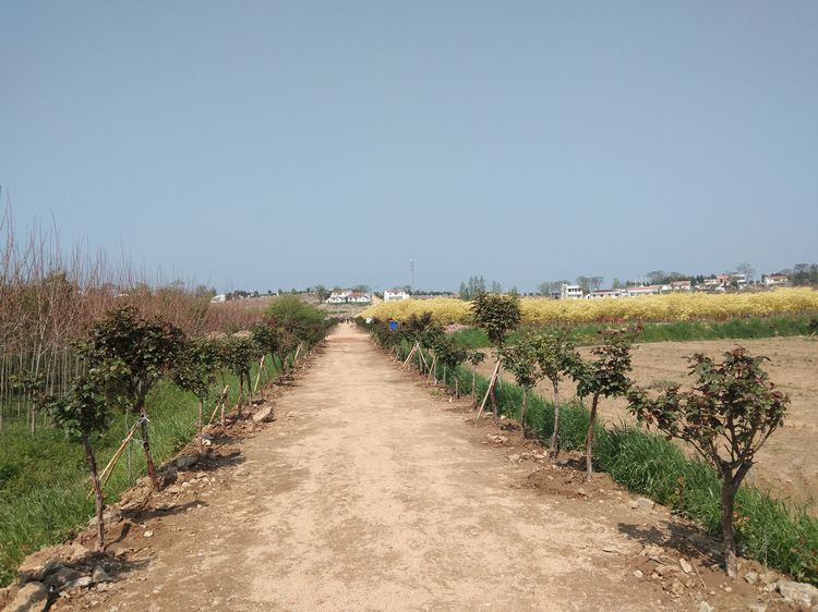 ​游玩梅庙村