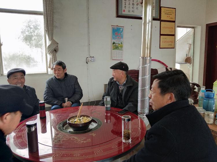 参观继华合作社碧根果种植基地