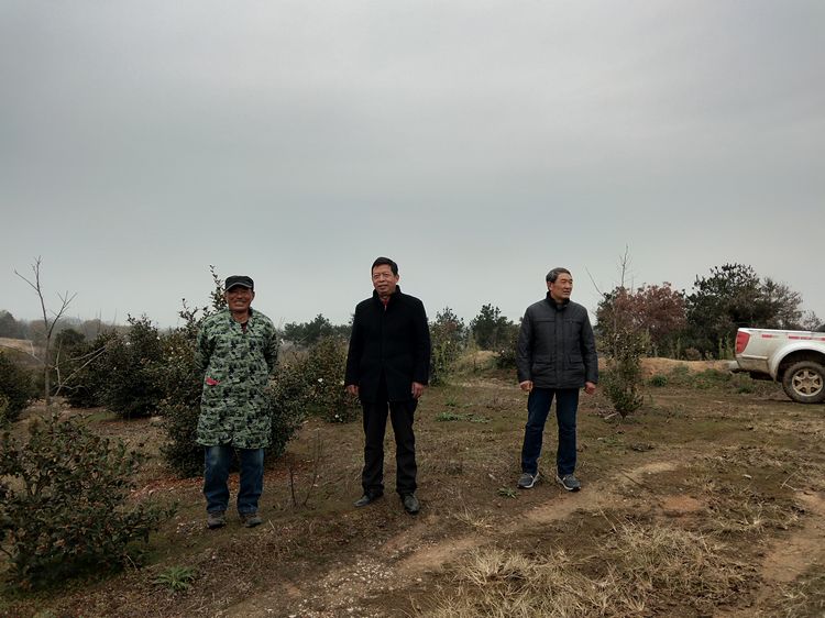 参观继华合作社碧根果种植基地