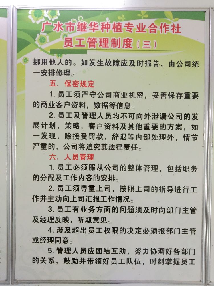 参观继华合作社碧根果种植基地