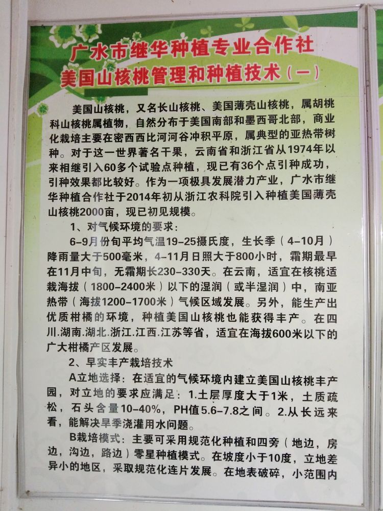 参观继华合作社碧根果种植基地