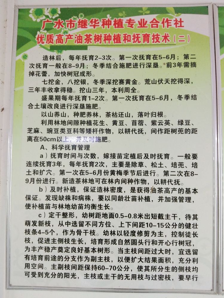 参观继华合作社碧根果种植基地