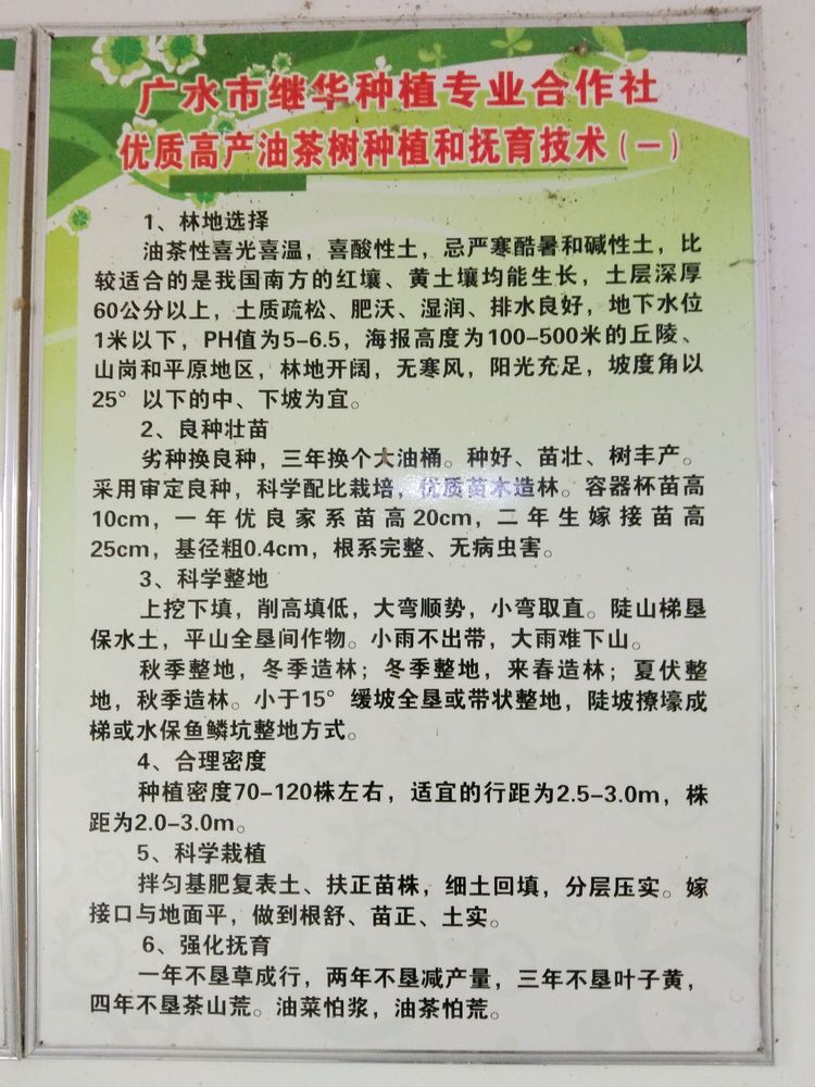 参观继华合作社碧根果种植基地