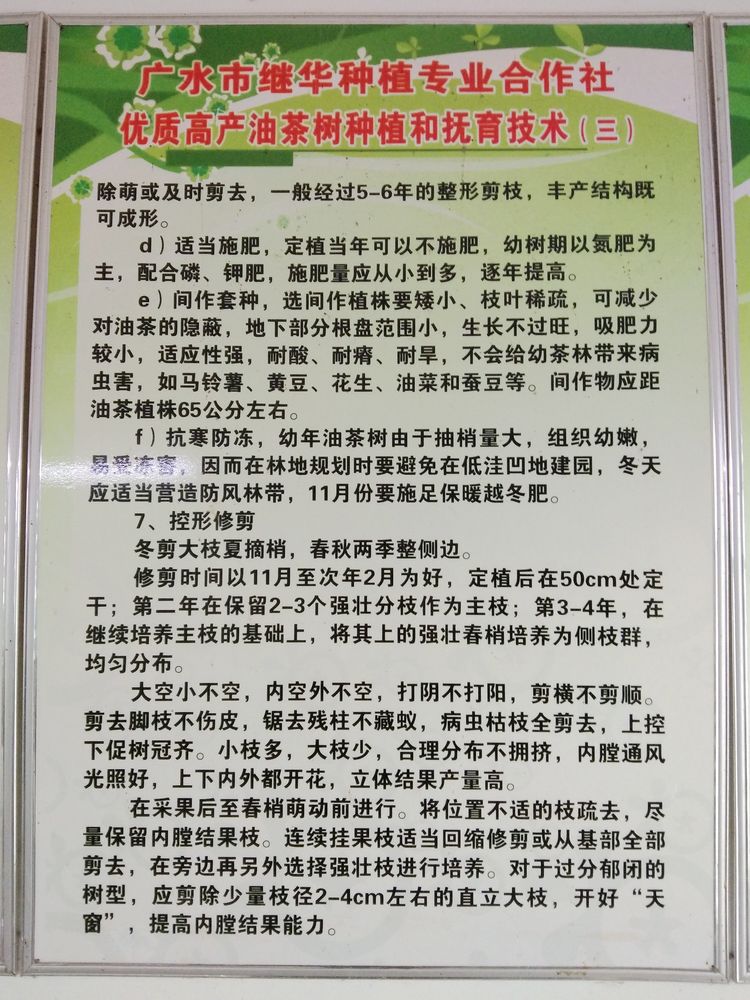 参观继华合作社碧根果种植基地