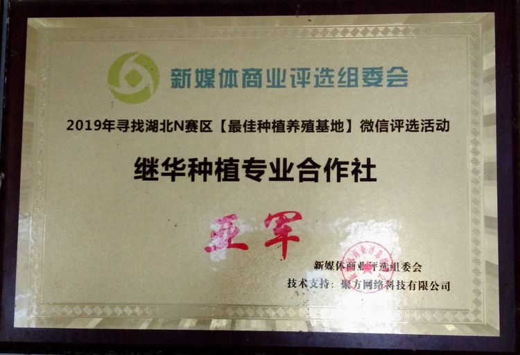 参观继华合作社碧根果种植基地
