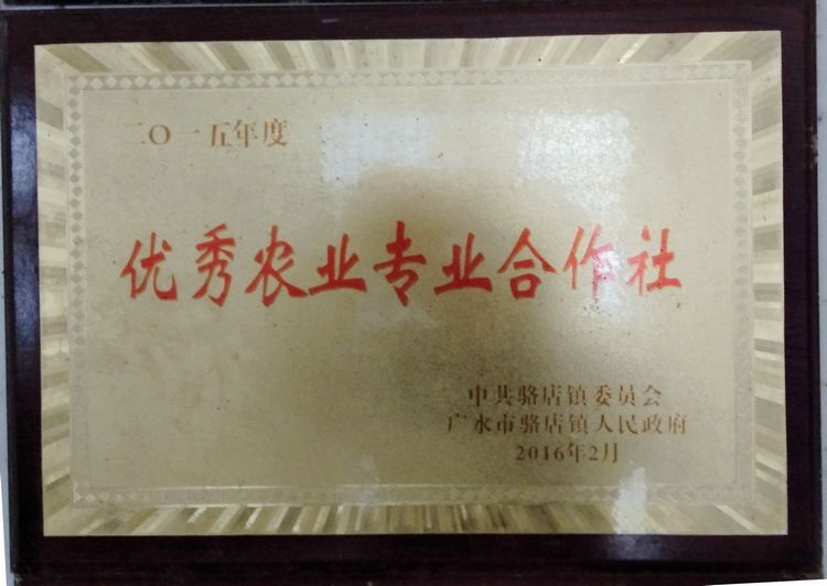 参观继华合作社碧根果种植基地