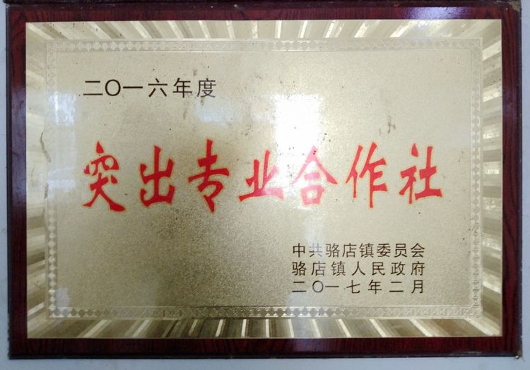 参观继华合作社碧根果种植基地