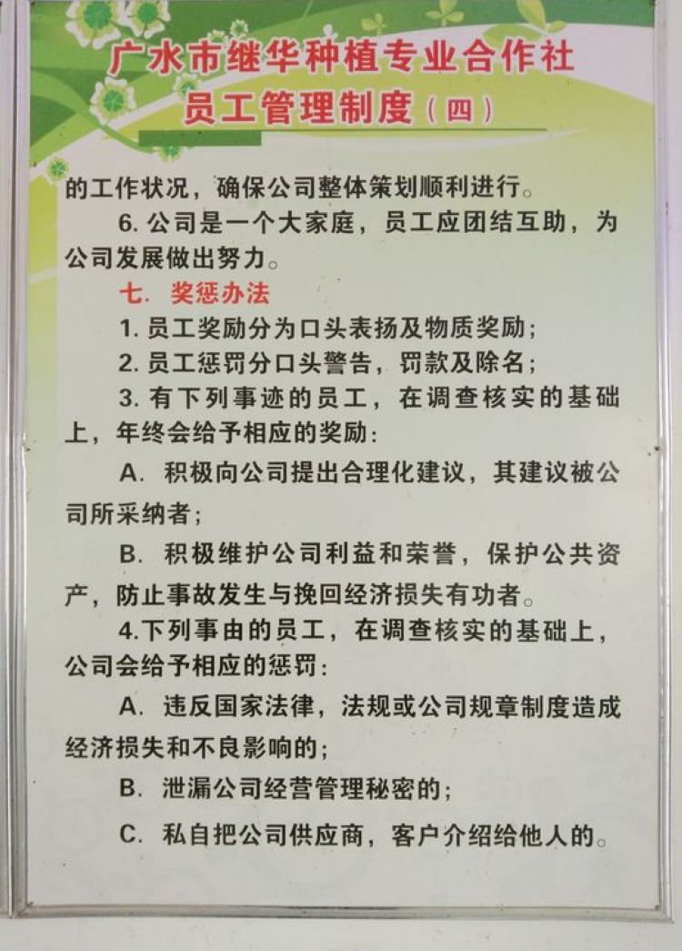 参观继华合作社碧根果种植基地