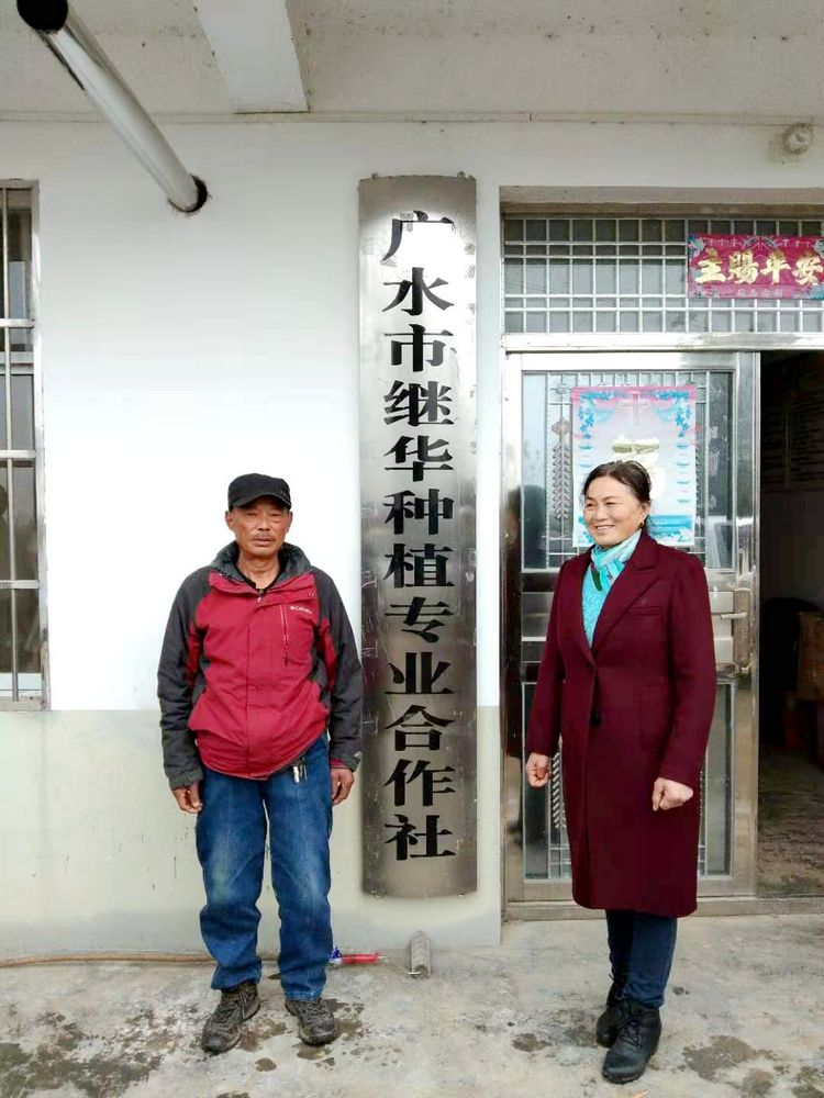 参观继华合作社碧根果种植基地