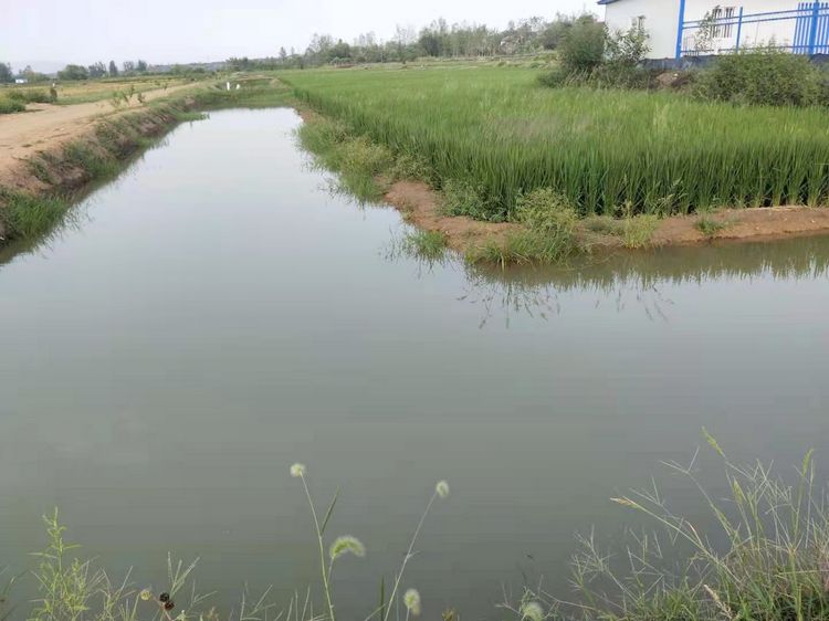 广泛宣传广水市六羸种植产品