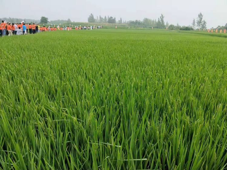 广泛宣传六赢合作社经营产品