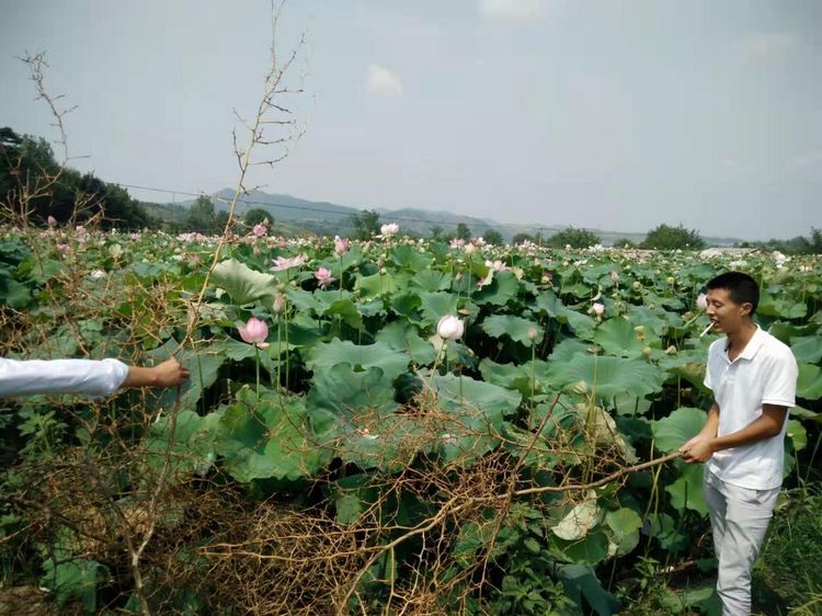 广泛宣传六赢合作社经营产品