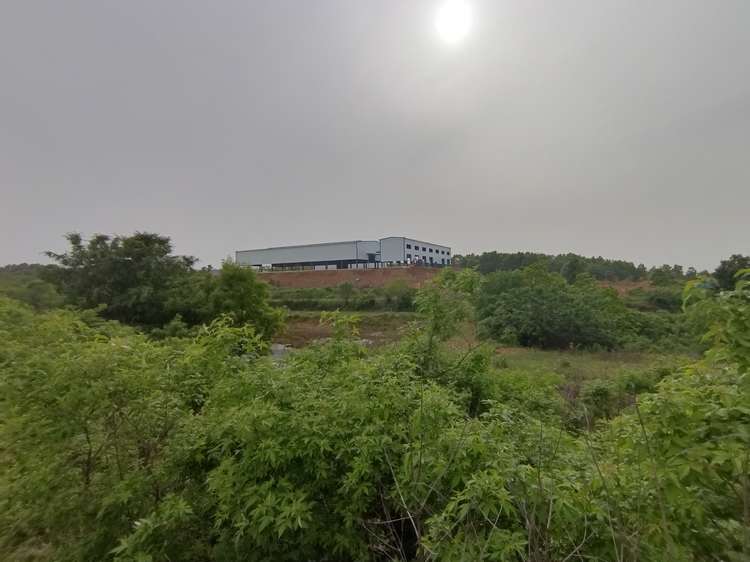 王立红向采访人员介绍公司建设情况