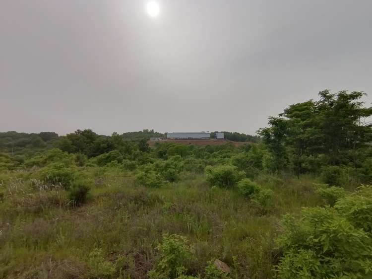 王立红向采访人员介绍公司建设情况