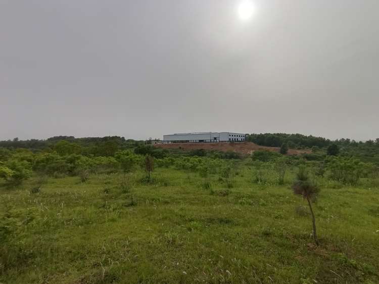 王立红向采访人员介绍公司建设情况