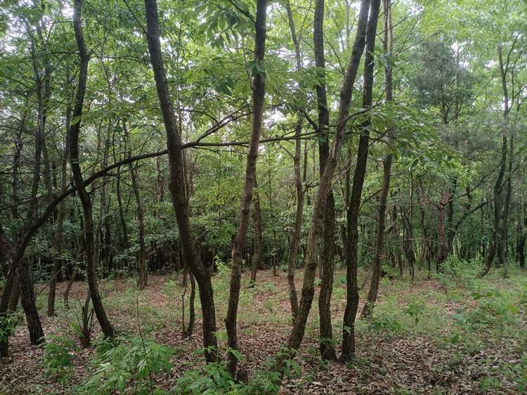 王立红向采访人员介绍公司建设情况