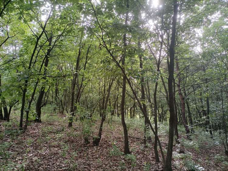 王立红向采访人员介绍公司建设情况