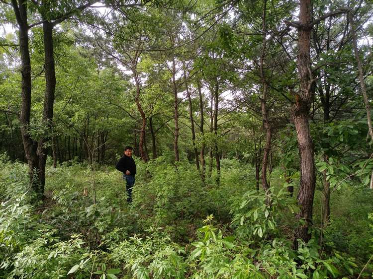 王立红向采访人员介绍公司建设情况