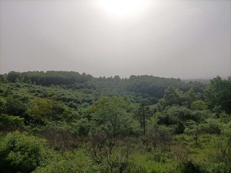 王立红向采访人员介绍公司建设情况